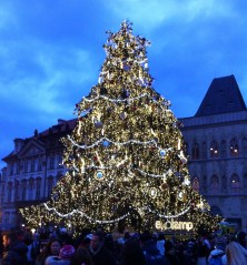 Prague's official Christmas tree at Old Town Square, December 2013